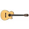 Ibanez AEG10NII-NT AEG Classical AC/EL Guitar