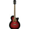 Ibanez AEG8E-TRS AEG Series AC/EL Guitar