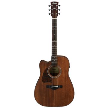 Ibanez AW54LCE - Open Pore Natural
