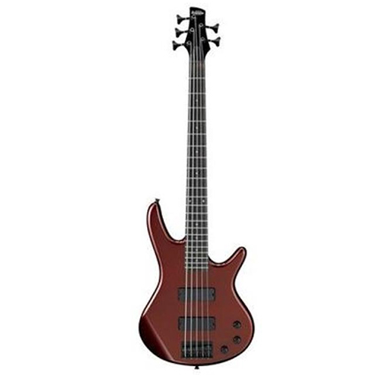 Ibanez Gio GSR325 RBM 5 String Bass Guitar