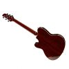 Ibanez TCM50-VBS AC/EL Guitar – Vintage Brown Sunburst High Gloss