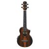 Ibanez UEW13MEE Concert Ukulele – Dark Brown Open Pore