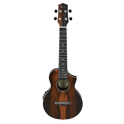 Ibanez UEW13MEE Concert Ukulele - Dark Brown Open Pore